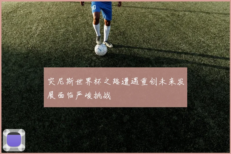 突尼斯世界杯之路遭遇重创未来发展面临严峻挑战