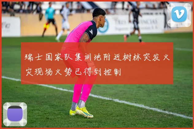 瑞士国家队集训地附近树林突发火灾现场火势已得到控制