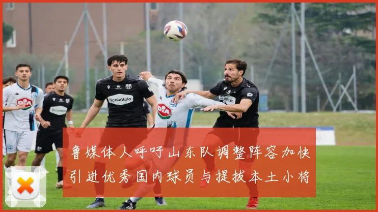 鲁媒体人呼吁山东队调整阵容加快引进优秀国内球员与提拔本土小将